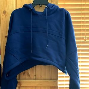 Ivy Park Cropped Hoodie